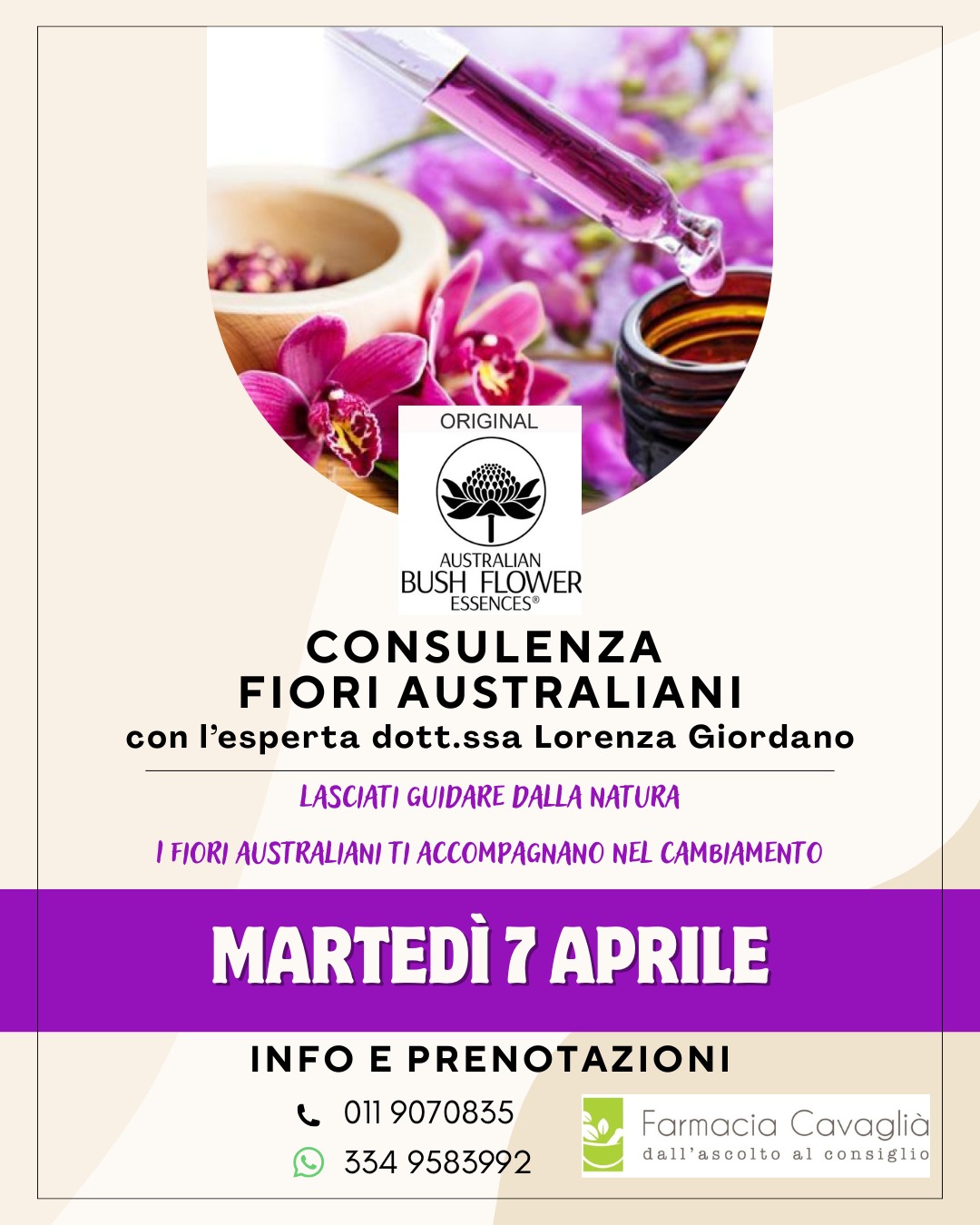 Fiori australiani 07 04 26